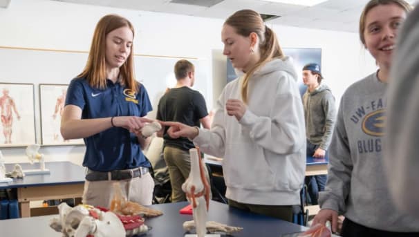 Sports Medicine Image