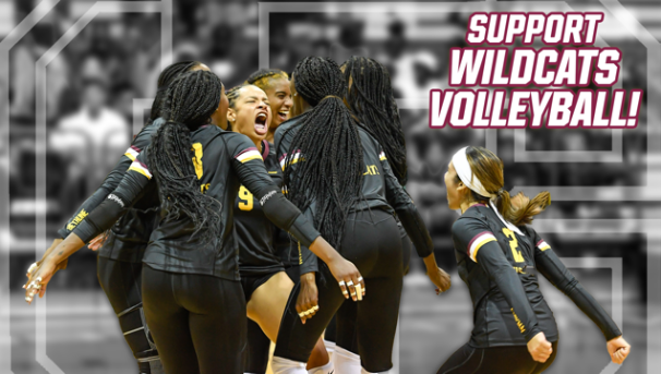 Bethune-Cookman Volleyball Image