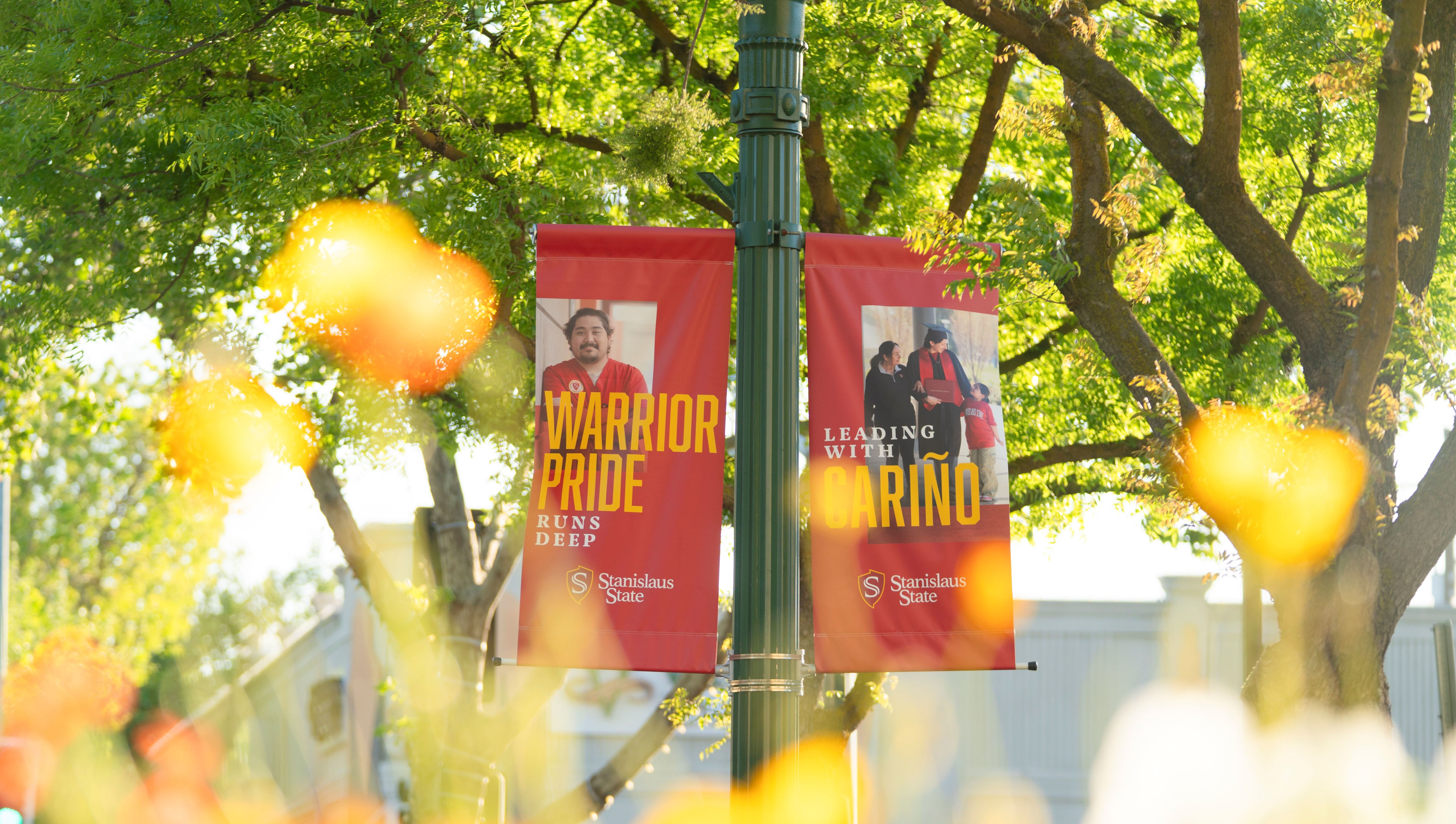 Stan State Downtown Banners #2