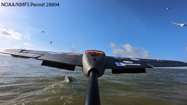 PHASM Team - Galveston 2025