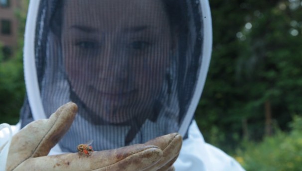 WWU Outback Farm Bee Apiary Image