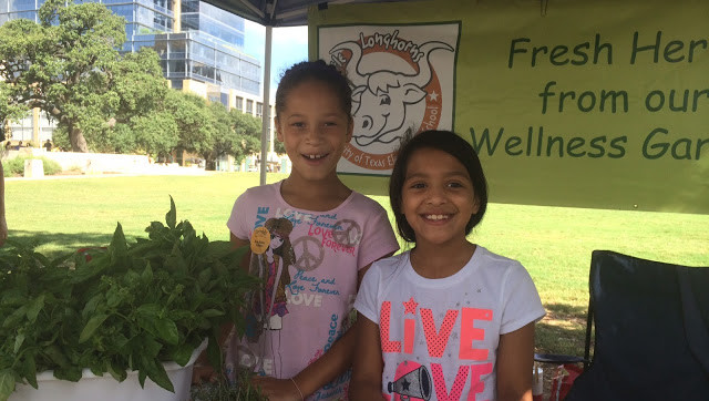 Herbs at Farmer's Market