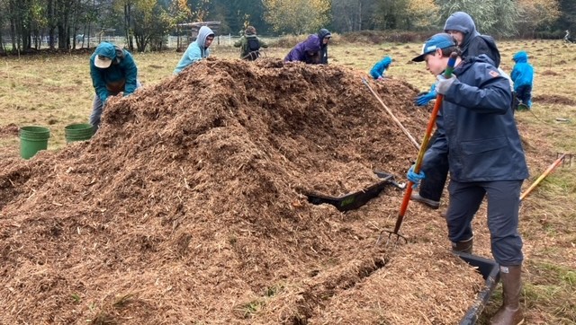Spreading mulch to prep for tree planting near Deming