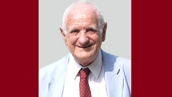 Honoring Dr. Richard Stein Image