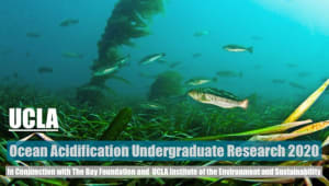 Save the seas, the fish, and California coastal communities!