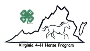 Help Fund 4-H Horse State Educational Teams!