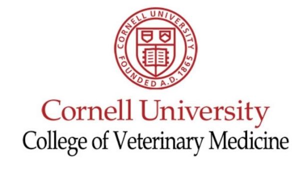 College of Veterinary Medicine Image