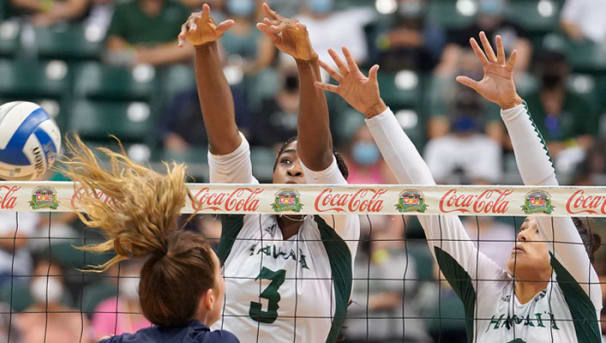 Rainbow Wahine Volleyball Image