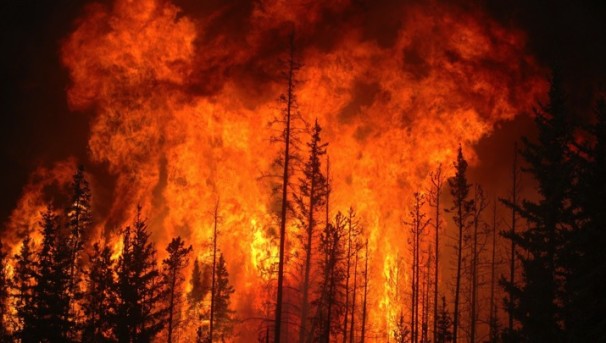 FUEGO:  Early Detection and Management of Wild Fires Image