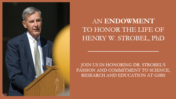 Henry W. Strobel, PhD Scholarship Endowment Image