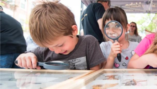 Summer of Science Program Image