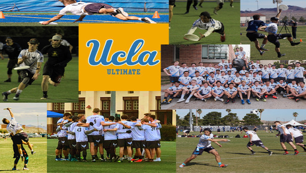 Growing the Game - UCLA Men’s Club Ultimate Frisbee Image