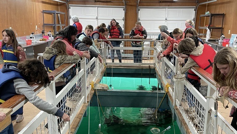 Students participating in a plankton tow