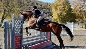 UCLA Equestrian: Galloping Towards Nationals