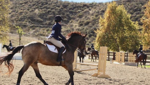 UCLA Equestrian: Galloping Towards Nationals Image