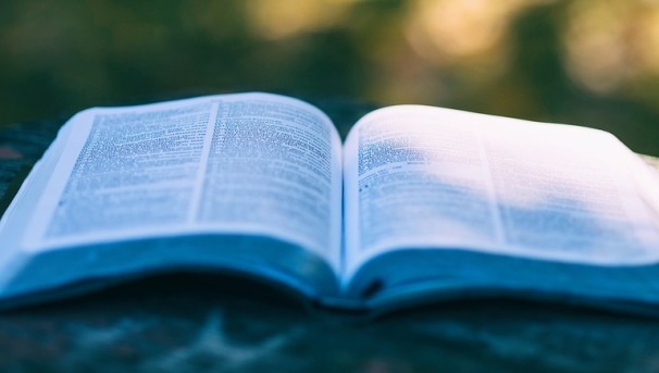 Emerging Scholars Program Book Fund Image