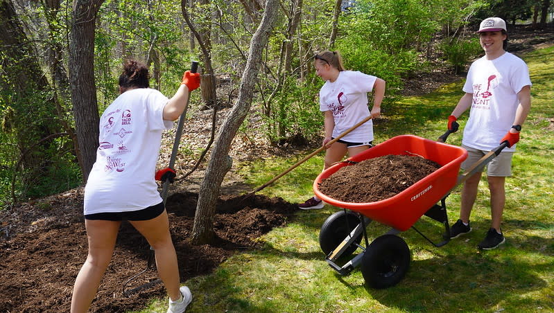 Mulch