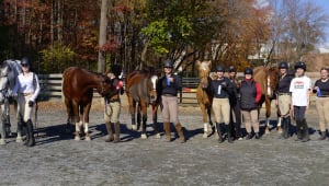 Help the Maryland Equestrian Club (MEC) get a new horse 2024
