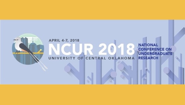 NCUR 2018 Image