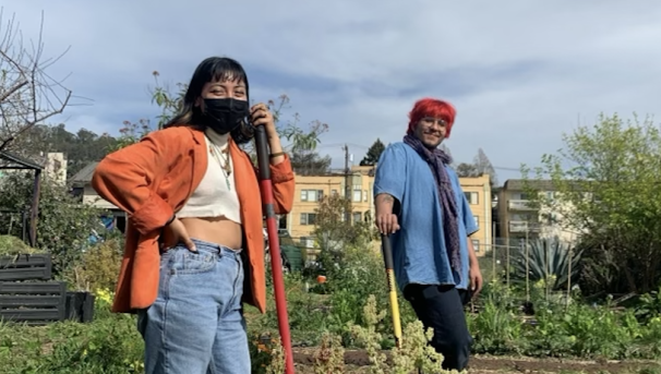 Berkeley Student Farms Image