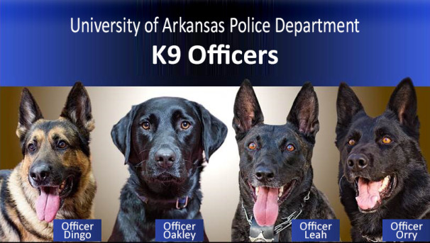 UAPD:  $9K for the K9s Image