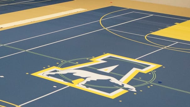 Picture of A-Bear UAF logo on court