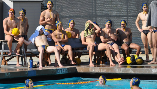 Men's Club Water Polo Image