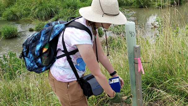 Biology Summer Undergraduate Research Image