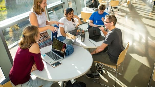 School of Social Work Image