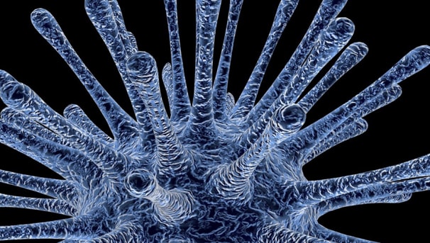 Support the Pandemics and Urgent Health Crises Fund Image