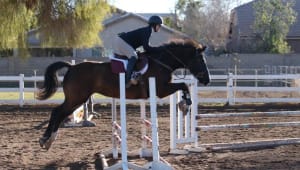 UCLA Equestrian - Strides To Success
