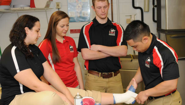 KNPE Student Academic and Professional Development Fund Image