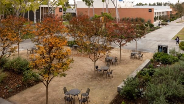 Beach Building Services Image