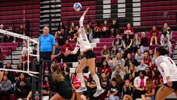 Volleyball action