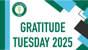 Gratitude Tuesday 2025