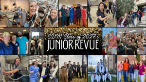 WSU College of Veterinary Medicine Class of 2027 Junior Revue