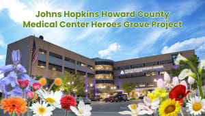 Johns Hopkins Howard County Medical Center Heroes Grove Project