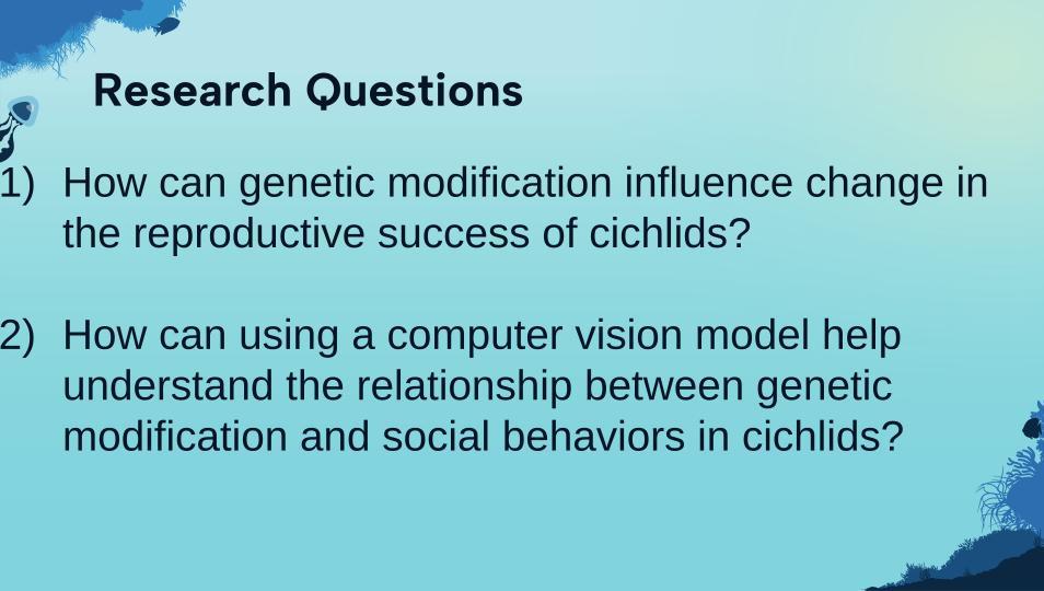 Research Questions