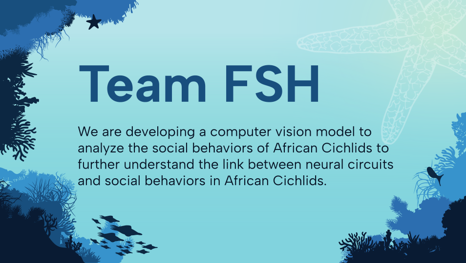 Team FSH