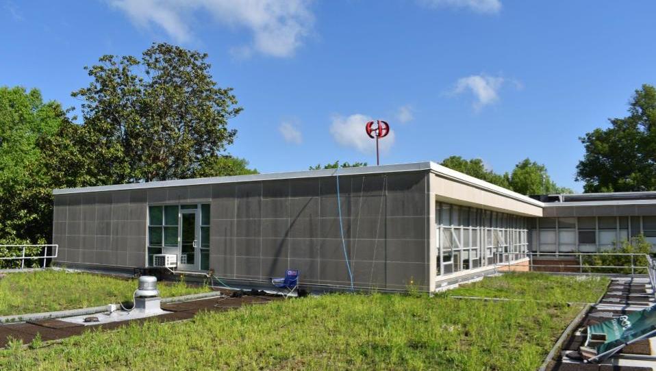 Green Roof with the Wind Turbine