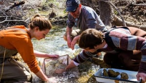 Bachelor of Science in Environmental Science