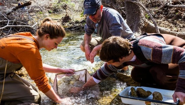 Bachelor of Science in Environmental Science Image