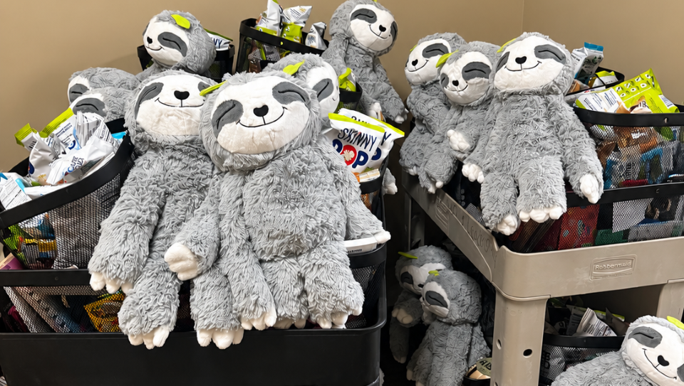 Toys, snacks, and plush sloths for counselors to share with their students.