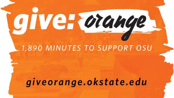 Give Orange Challenge Fund Image