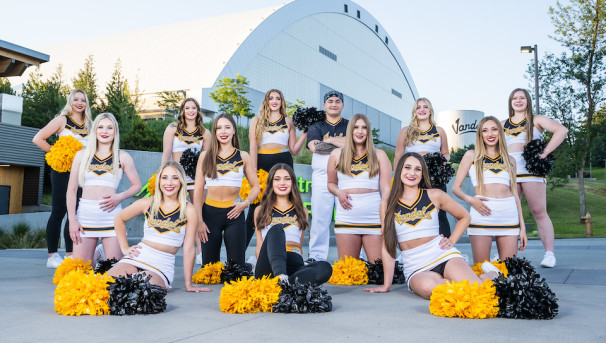 Vandal Spirit Support Your Sideline Image