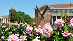 Celebrating 50 Years of Beauty at Southern Miss