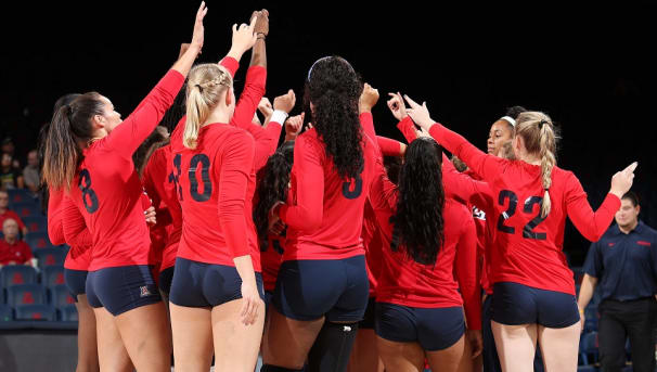 Uofa volleyball cheap