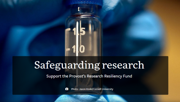 Research Resiliency Image