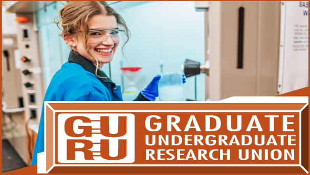 Support Undergraduate Research in Biomedical Engineering Image