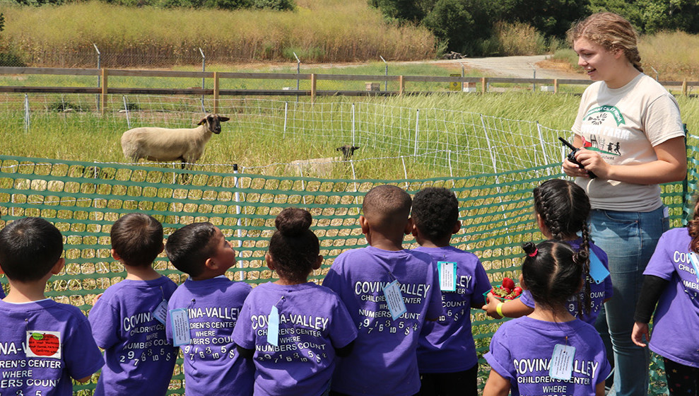 Discovery Farm Field Trip